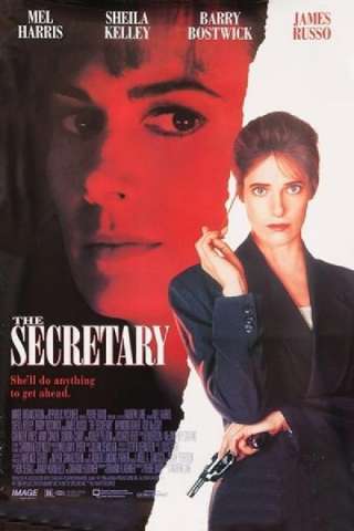 Istinto criminale - The Secretary [HD] (1995 CB01)