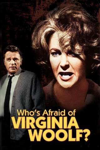 Chi ha paura di Virginia Woolf? [HD] (1966 CB01)