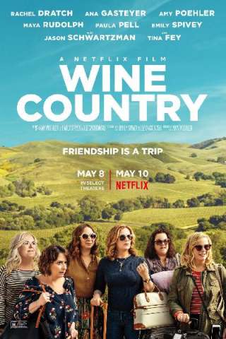 Wine Country [HD] (2019 CB01)