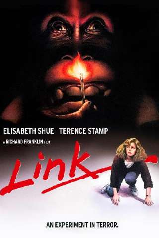 Link [HD] (1986 CB01)