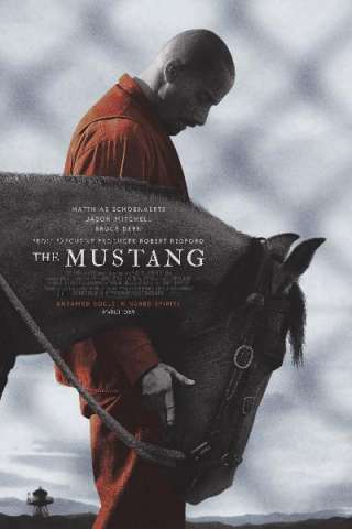 The Mustang [HD] (2019 CB01)