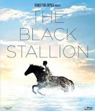 Black Stallion [HD] (1979 CB01)