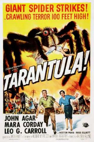 Tarantola [HD] (1955 CB01)