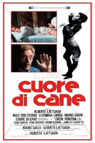 Cuore di cane [HD] (1976 CB01)