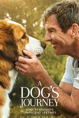 A Dog's Journey [HD] (2019 CB01)