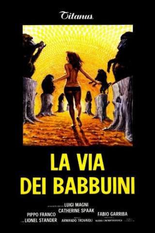 La via dei babbuini [HD] (1974 CB01)