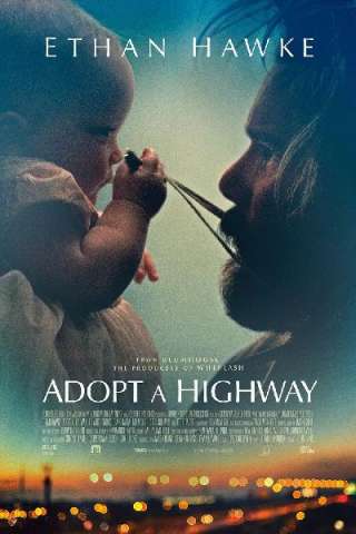 Adopt a Highway [HD] (2019 CB01)