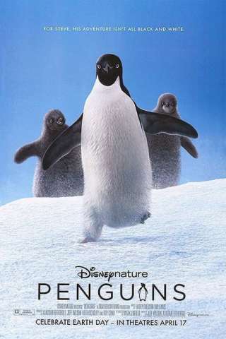 Penguins [HD] (2019 CB01)