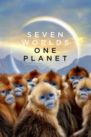 Seven Worlds, One Planet [HD] (2019 CB01)