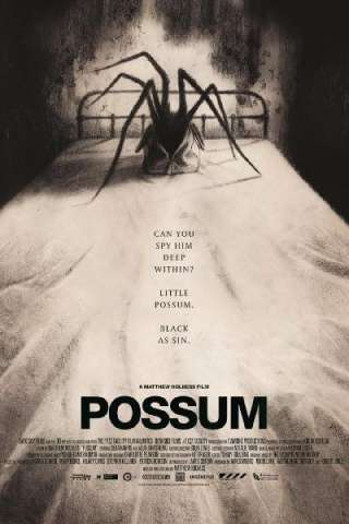 Possum [HD] (2018 CB01)