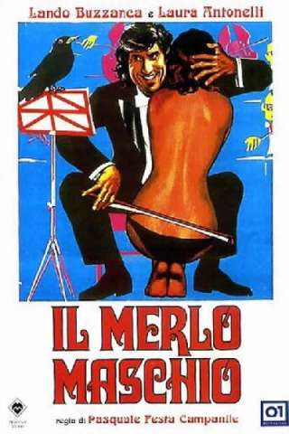 Il merlo maschio [HD] (1971 CB01)