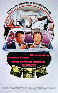 Una strana coppia di sbirri [HD] (1974 CB01)