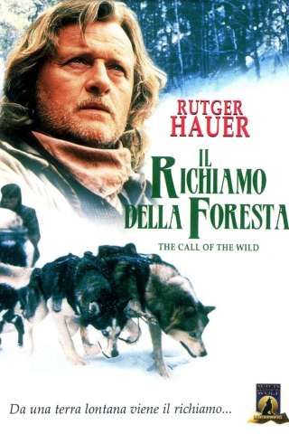 Il richiamo della foresta [HD] (1996 CB01)