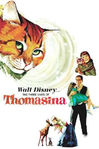 Le tre vite della gatta Tommasina [DVDrip] (1963 CB01)