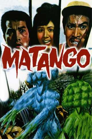 Matango il mostro [HD] (1963 CB01)