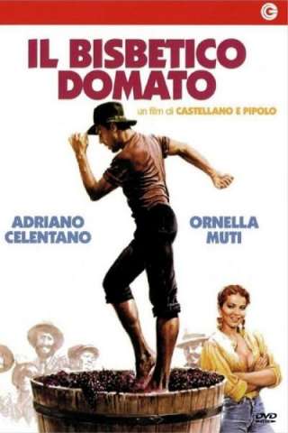 Il bisbetico domato [HD] (1980 CB01)