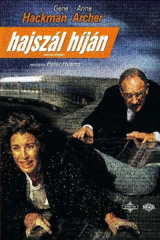 Rischio totale [HD] (1990 CB01)