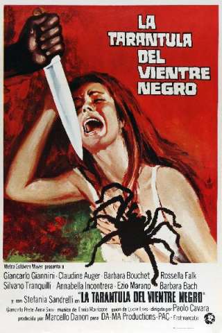 La tarantola dal ventre nero [HD] (1971 CB01)