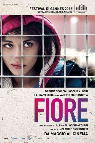 Fiore [HD] (2016 CB01)