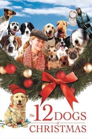 I 12 cani di Natale [DVDrip] (2005 CB01)