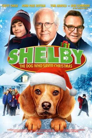 Shelby - Il cane che salvò il Natale [DVDrip] (2014 CB01)