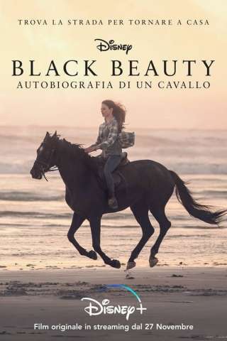 Black Beauty - Autobiografia di un cavallo [HD] (2020 CB01)