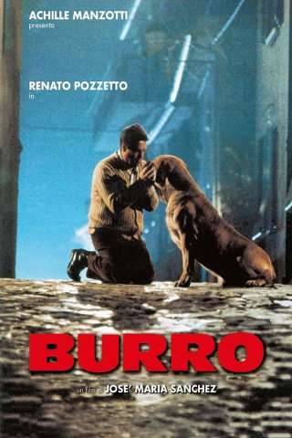 Burro [DVDrip] (1989 CB01)