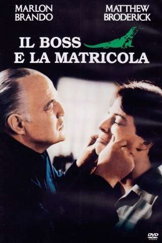 Il boss e la matricola [DVDrip] (1990 CB01)