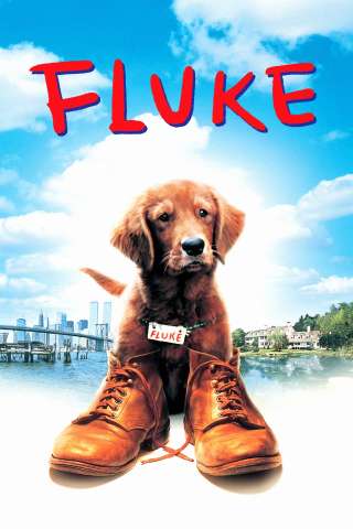 Fluke [HD] (1995 CB01)