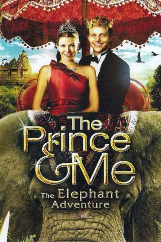 Un principe tutto mio 4 [DVDrip] (2010 CB01)