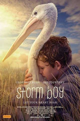 Storm Boy - Il ragazzo che sapeva volare [HD] (2019 CB01)