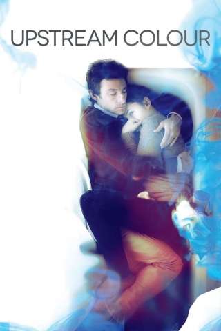 Upstream Color [DVDrip] (2013 CB01)