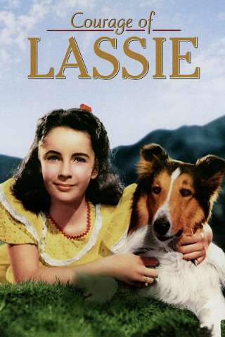 Il coraggio di Lassie [DVDrip] (1946 CB01)