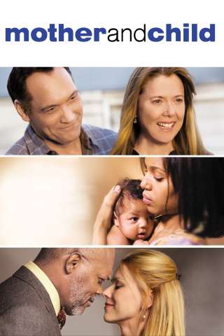 Mother and Child [DVDrip] (2009 CB01)