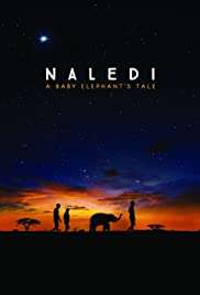 Naledi: A Baby Elephant' s Tale [HD] (2016 CB01)