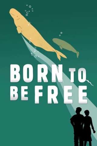 Born to Be Free [HD] (2017 CB01)