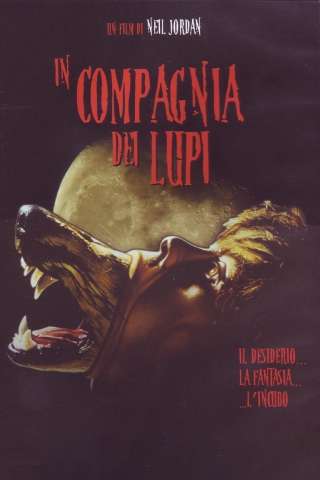 In compagnia dei lupi [SD] (1984 CB01)