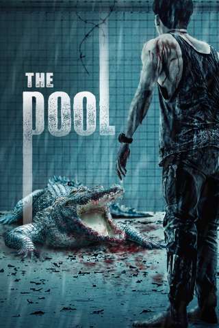 The Pool (2018) [HD] (2018 CB01)