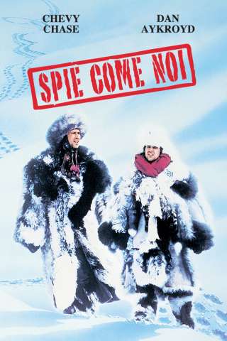 Spie come noi [DVDrip] (1985 CB01)