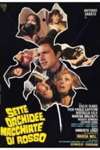 Sette orchidee macchiate di rosso [HD] (1972 CB01)