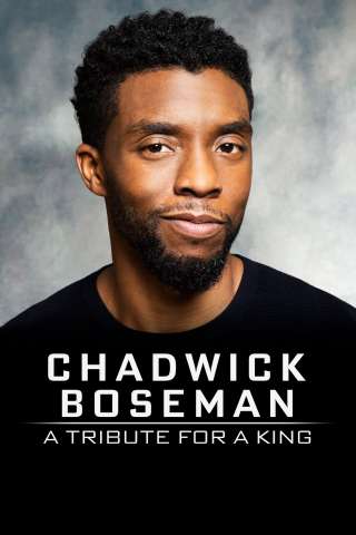 Chadwick Boseman:  A Tribute for a King [DVDrip] (2020 CB01)