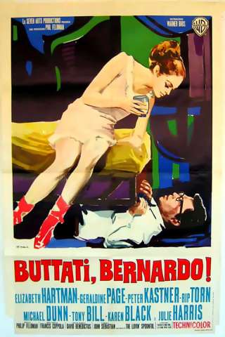 Buttati, Bernardo! [DVDrip] (1966 CB01)