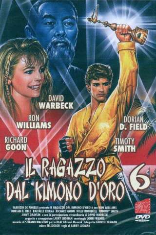 Il ragazzo dal kimono d'oro 6 [HD] (1993 CB01)