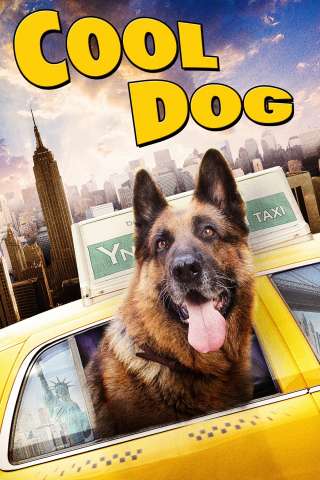 Cool Dog - Rin Tin Tin a New York [HD] (2011 CB01)