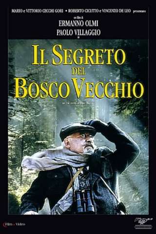 Il segreto del bosco vecchio [DVDrip] (1993 CB01)