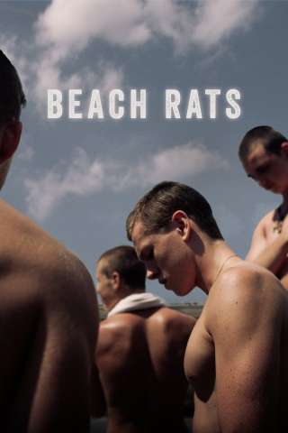 Beach Rats [HD] (2017 CB01)