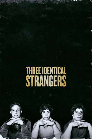 Three Identical Strangers [HD] (2018 CB01)