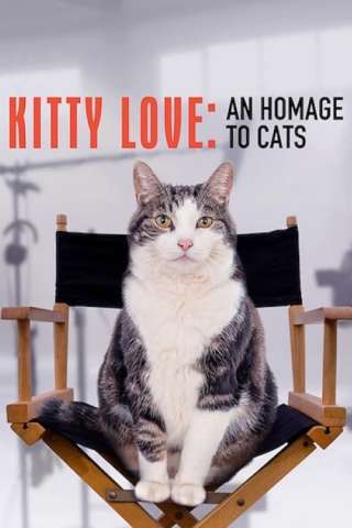 Kitty Love: Evviva i gatti! [HD] (2021 CB01)