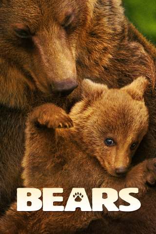 Bears [DVDrip] (2014 CB01)