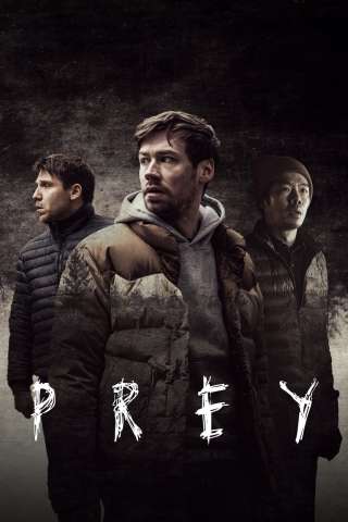 Prey [HD] (2021 CB01)